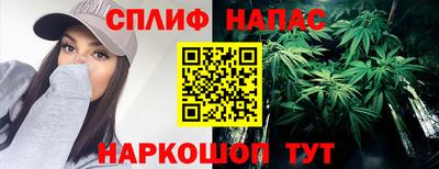 гидра Донецк